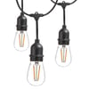 String of vintage-style Edison bulbs for event lighting and decoration. Ideal for weddings, parties, and corporate events.