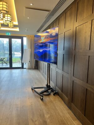 75" screen in Goring, Berkshire